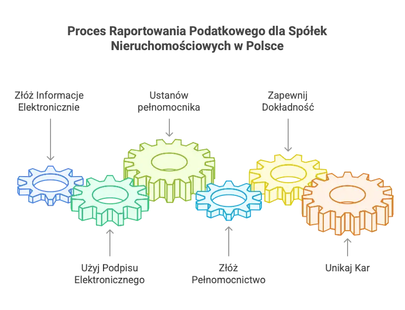 Raportowanie spółek nieruchomościowych krok po kroku